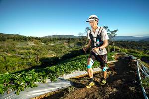 BIB: 
                            <button type="button" onclick="openModal(19111622)" class="btn btn-primary btn-sm float-right btn-popup" data-toggle="modal" data-target=".modal-high-quality">
                        <i class="fas fa-shopping-cart"></i> Add to Cart
                    </button>
                                            <button type="button" onclick="isThisMe(19111622, true)" class="btn btn-success btn-sm float-right btn-popup btn-isme hidden" data-toggle="tooltip" data-placement="bottom" title="นี่คือรูปของคุณใช่ไหม คลิกที่นี่เพื่อเอาเข้าอัลบั้ม">
                        <i class="fas fa-plus"></i> Add to album
                    </button>
                    <button type="button" onclick="isThisMe(19111622, false)" class="btn btn-warning btn-sm float-right btn-popup btn-isnotme hidden">
                        <i class="fas fa-ban"></i> Remove from album
                    </button>